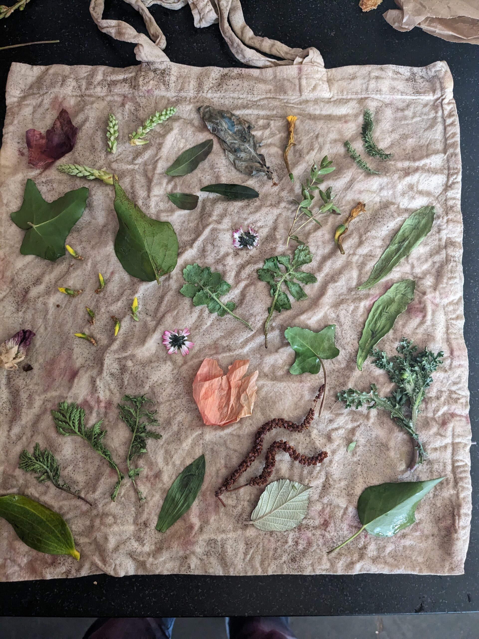 atelier ecoprint